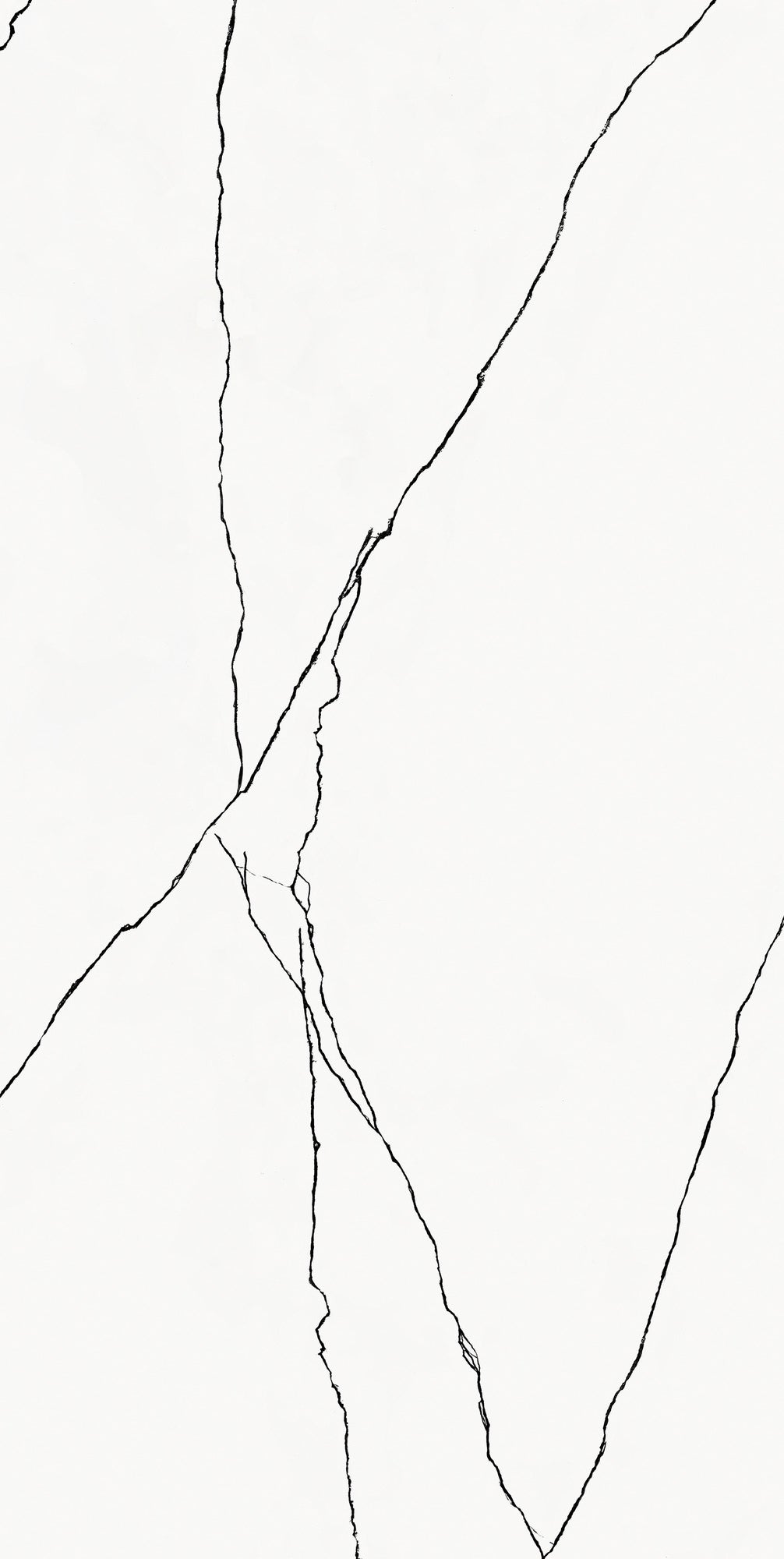 Płytka ścienna Alesia white 30x60 cm 1.8 m2 3