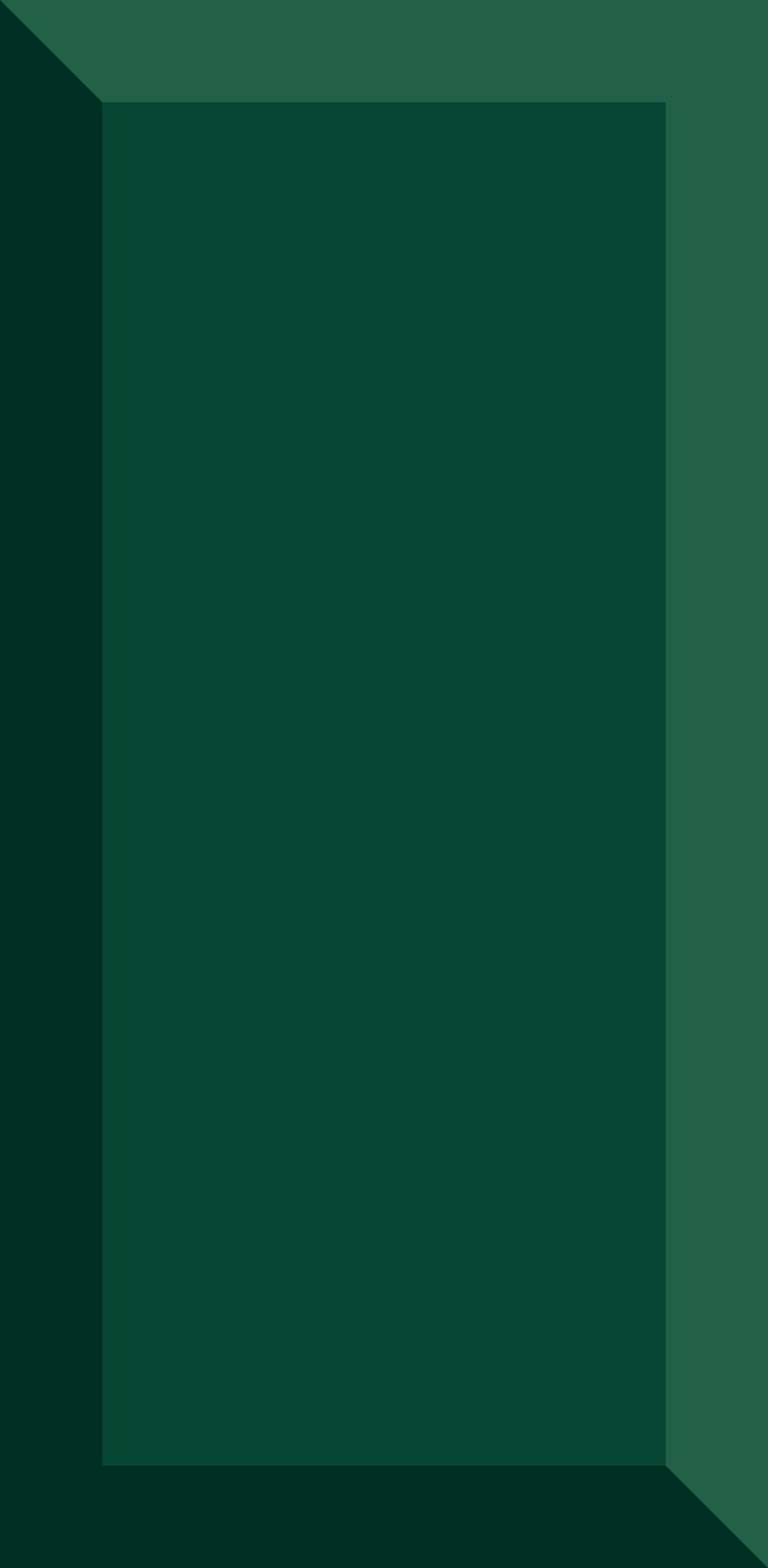 Płytka ścienna Tamoe verde 9.8x19.8 0.89 m2