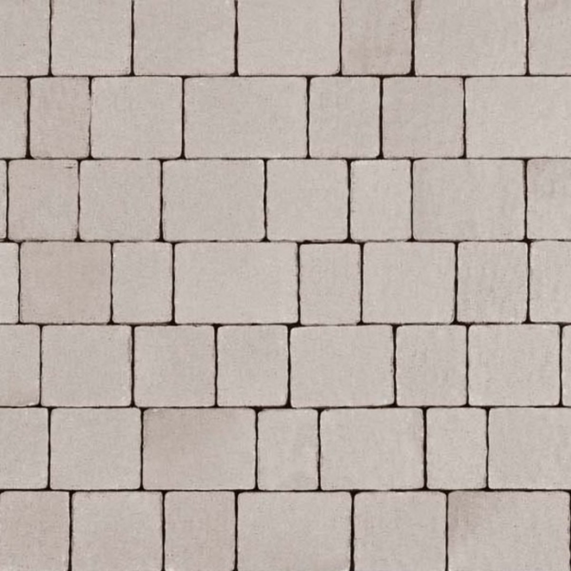 Certus Panteon 60 Plus jasnoszary opak.11,4 m2 0