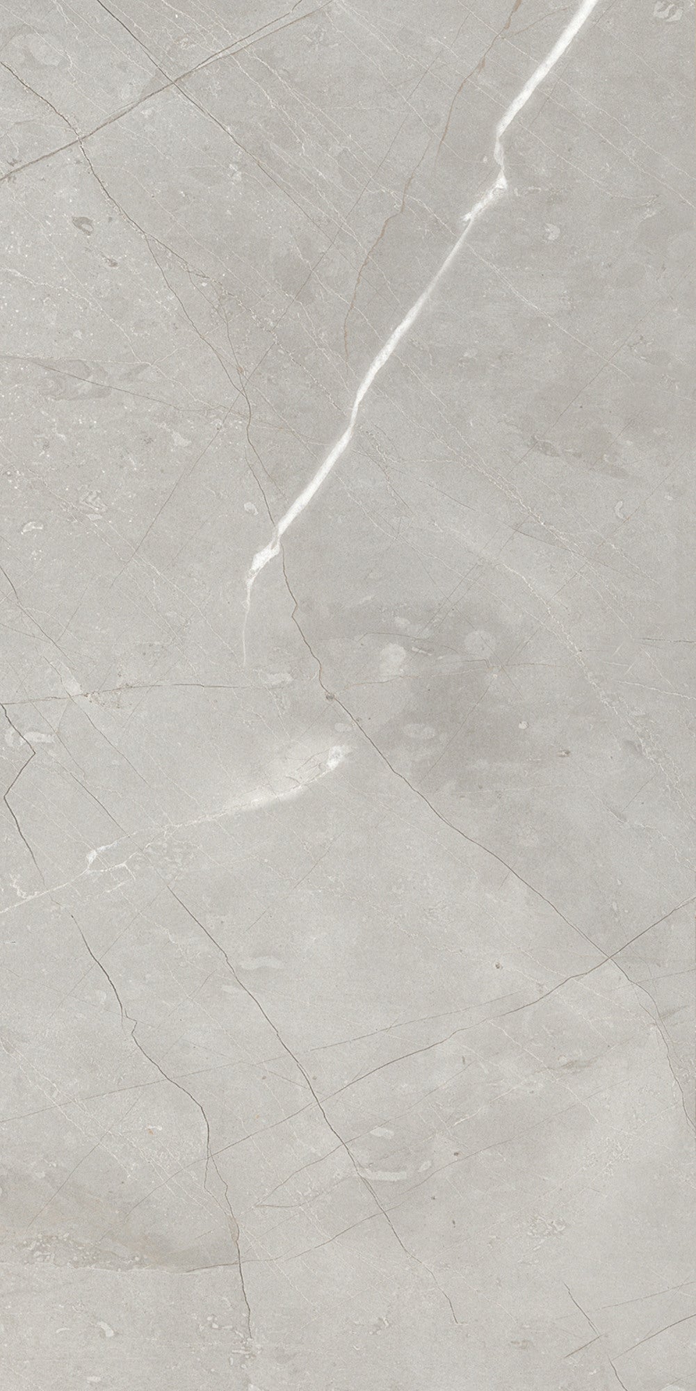 Gres szkliwiony Pure Soft Grey 31x62 cm 1.54m2