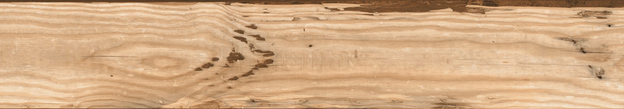 Gres szkliwiony Alamo Secco 20x120 cm 1.2 m2 2