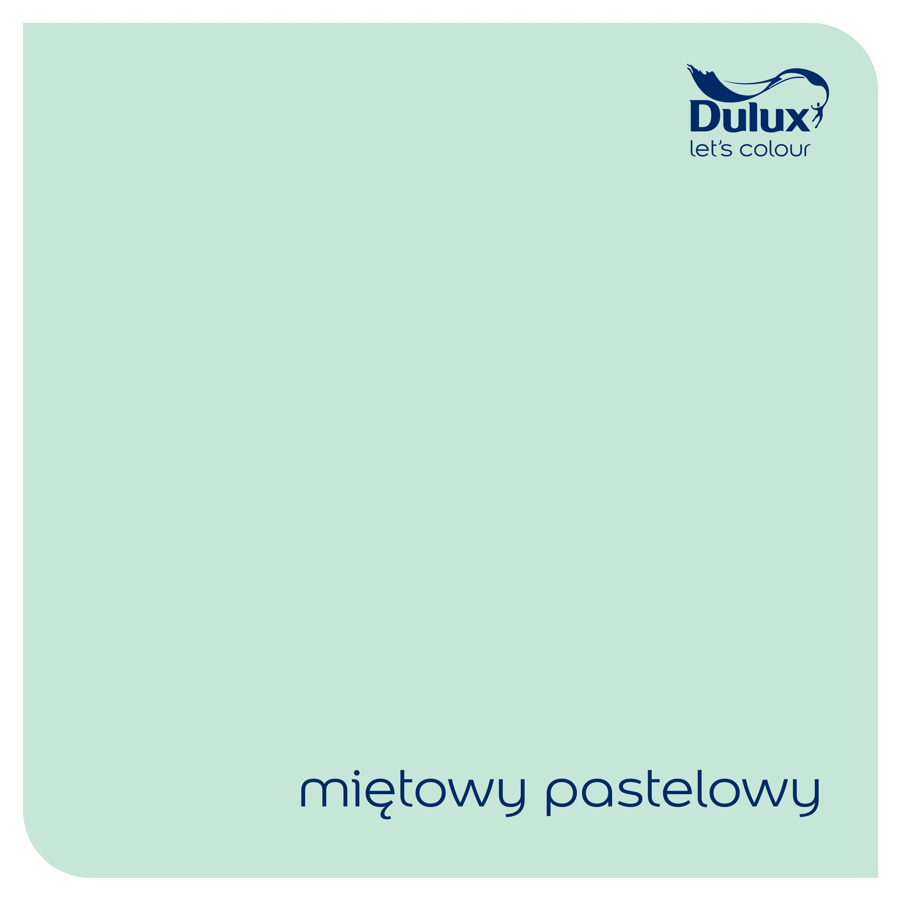 Emalia Dulux Rapidry miętowy pastelowy 0,4l 2