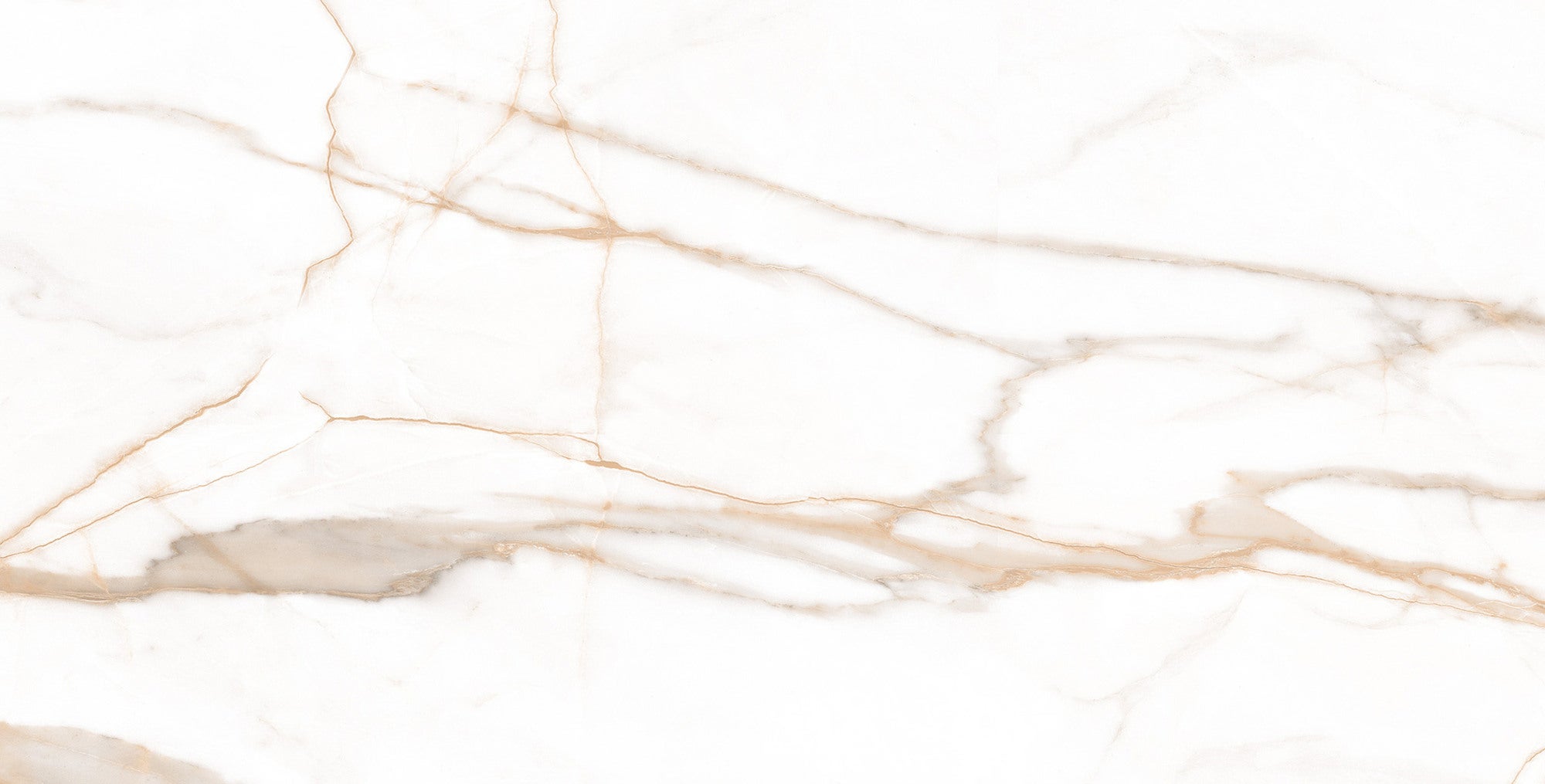 Gres polerowany Maruve Gold 60x120 cm 1.44m2