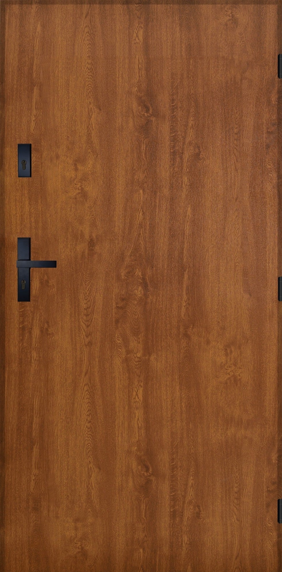 Drzwi zewnętrzne akustyczne Opole RC2 złoty dąb 90 prawe 0