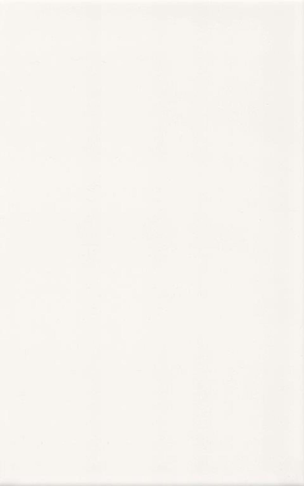 Płytka ścienna Biała błyszcząca 25x40 cm 1.5m2