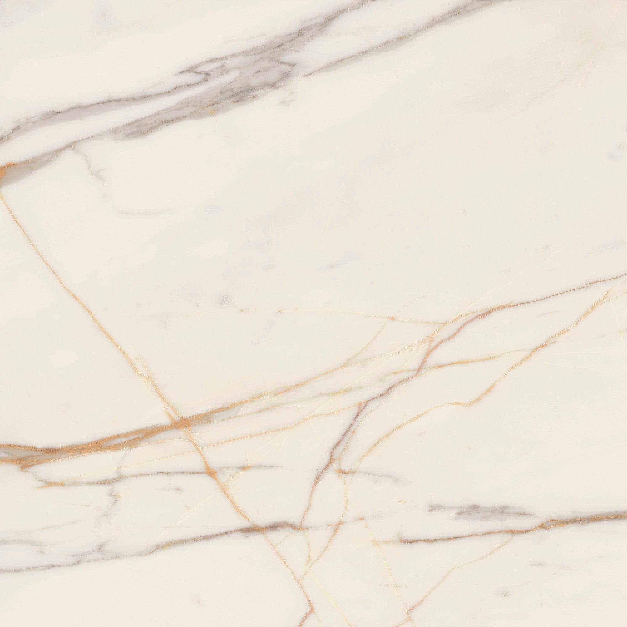 Gres polerowany Marmo D'oro 79,8x79,8 1.27 m2 2
