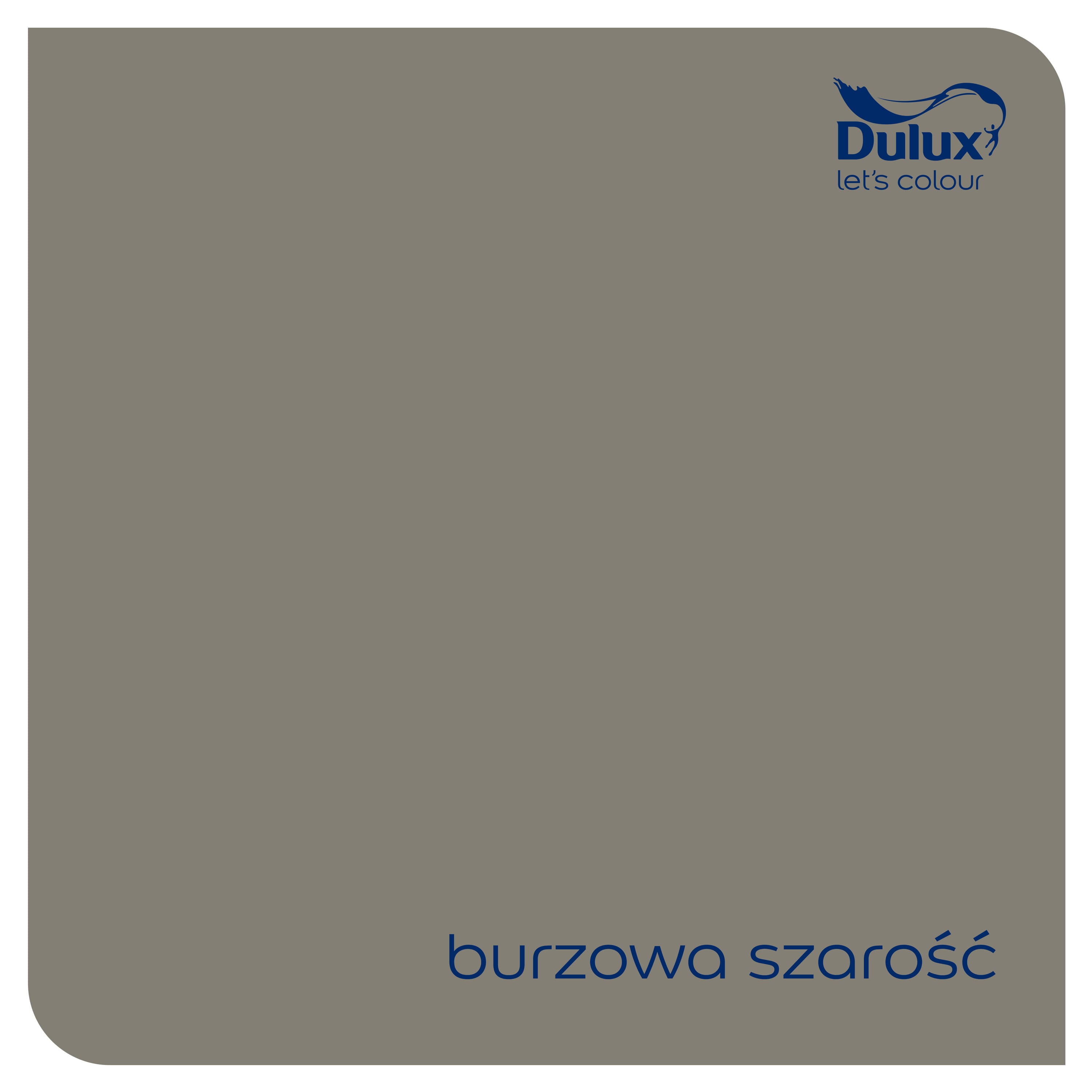Emalia Dulux Rapidry burzowa szarość 0,4l 2
