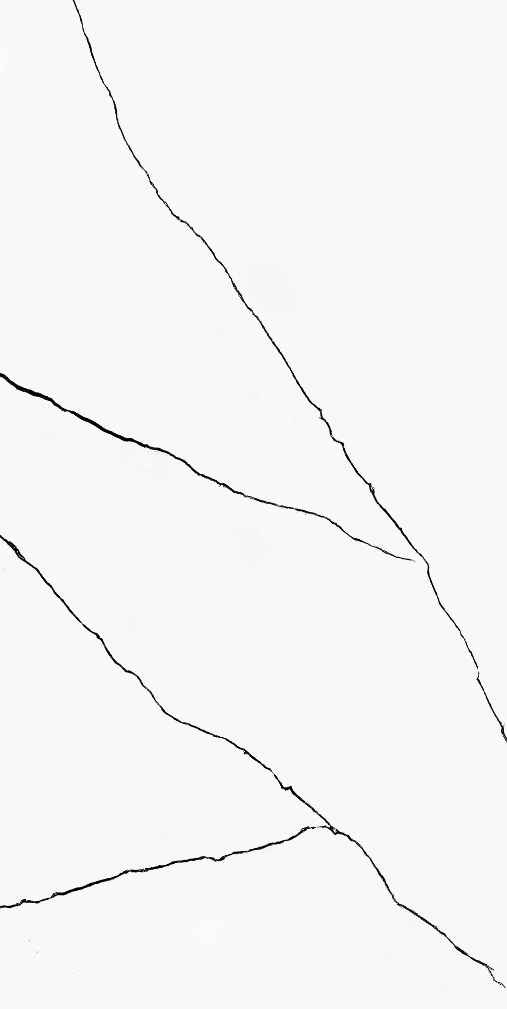 Płytka ścienna Alesia white 30x60 cm 1.8 m2 2