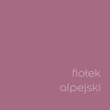 Farba Dulux Kolory Świata fiołek alpejski 2,5l 2