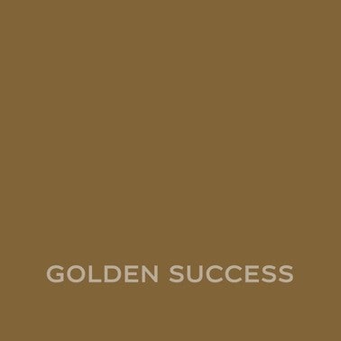 Farba Dulux Ambiance Ceramic golden success 0,03l 2