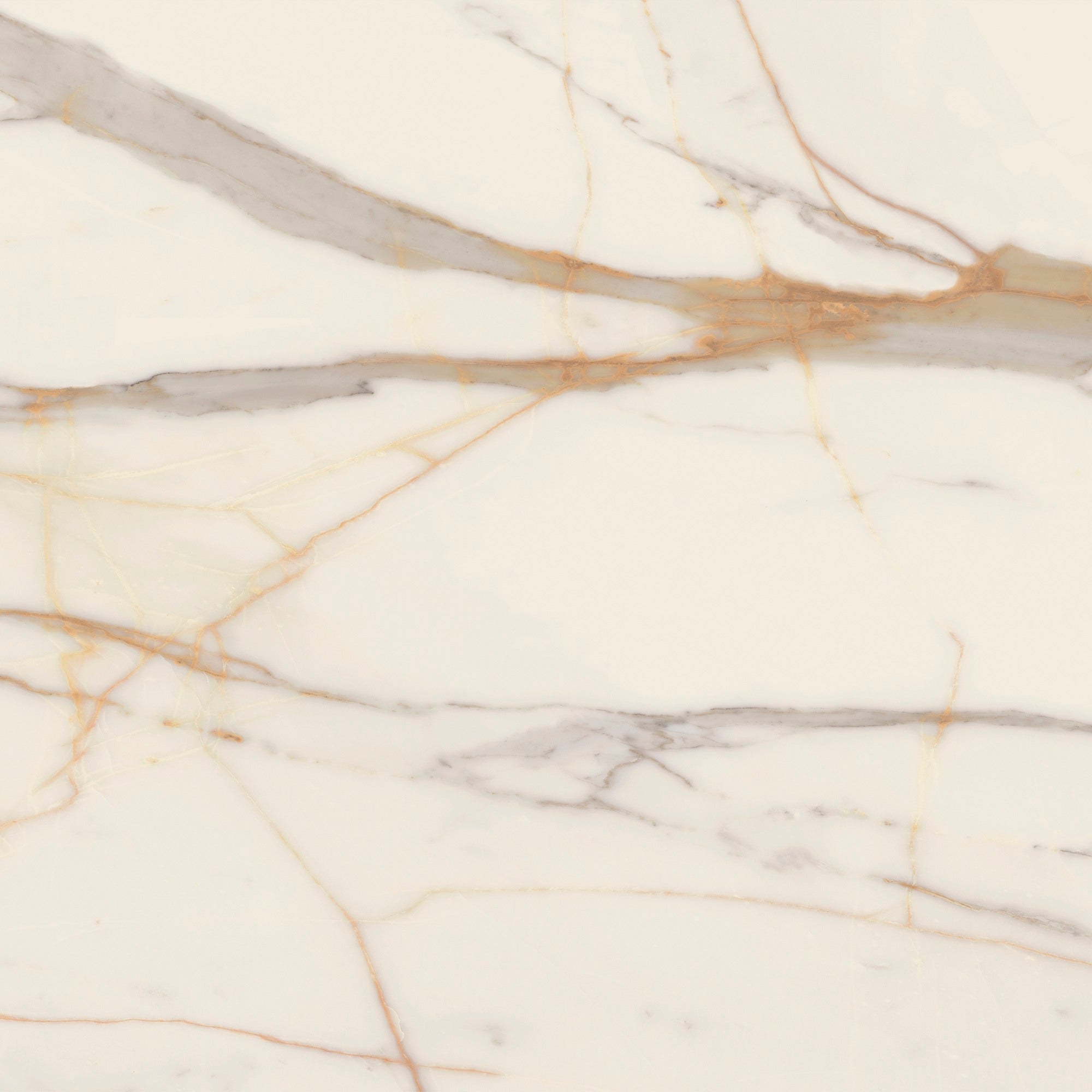 Gres polerowany Marmo D'oro 79,8x79,8 1.27 m2 1