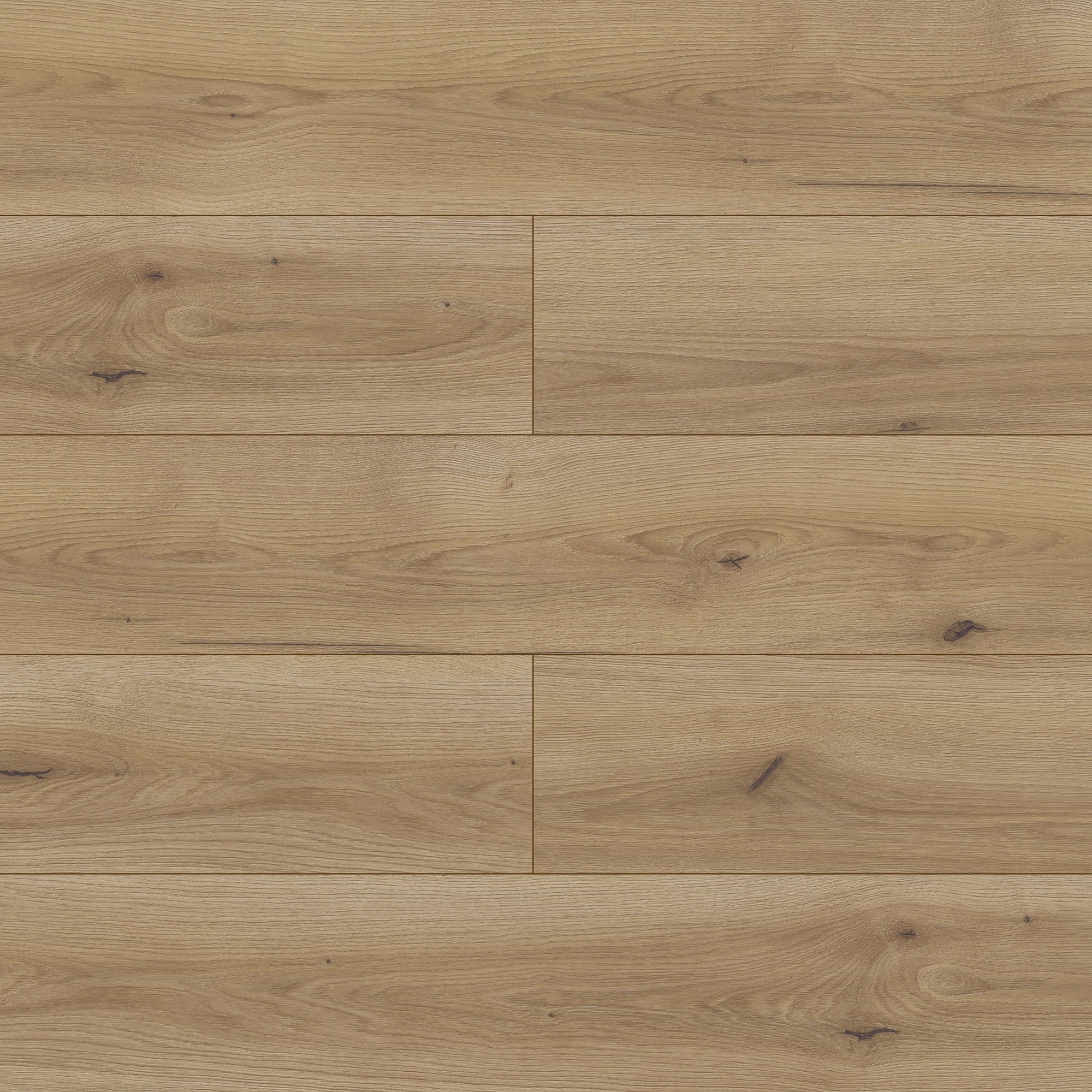 Panel podłogowy Dąb Split AC5 8mm 4V op. 2,372 m2
