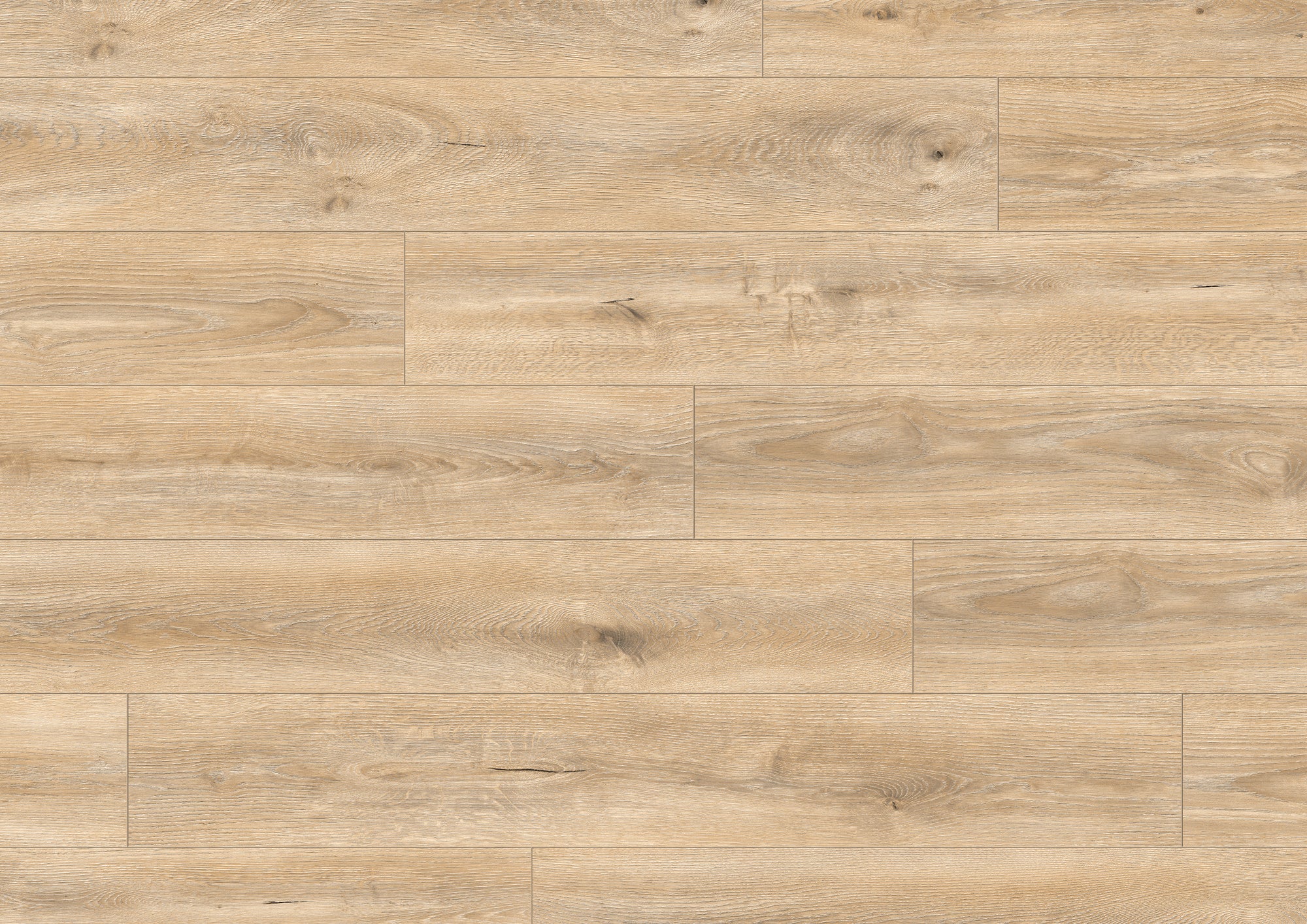 Panel podłogowy Dąb Tortilla Cashmere AC6 10mm 4V op. 1,87m2