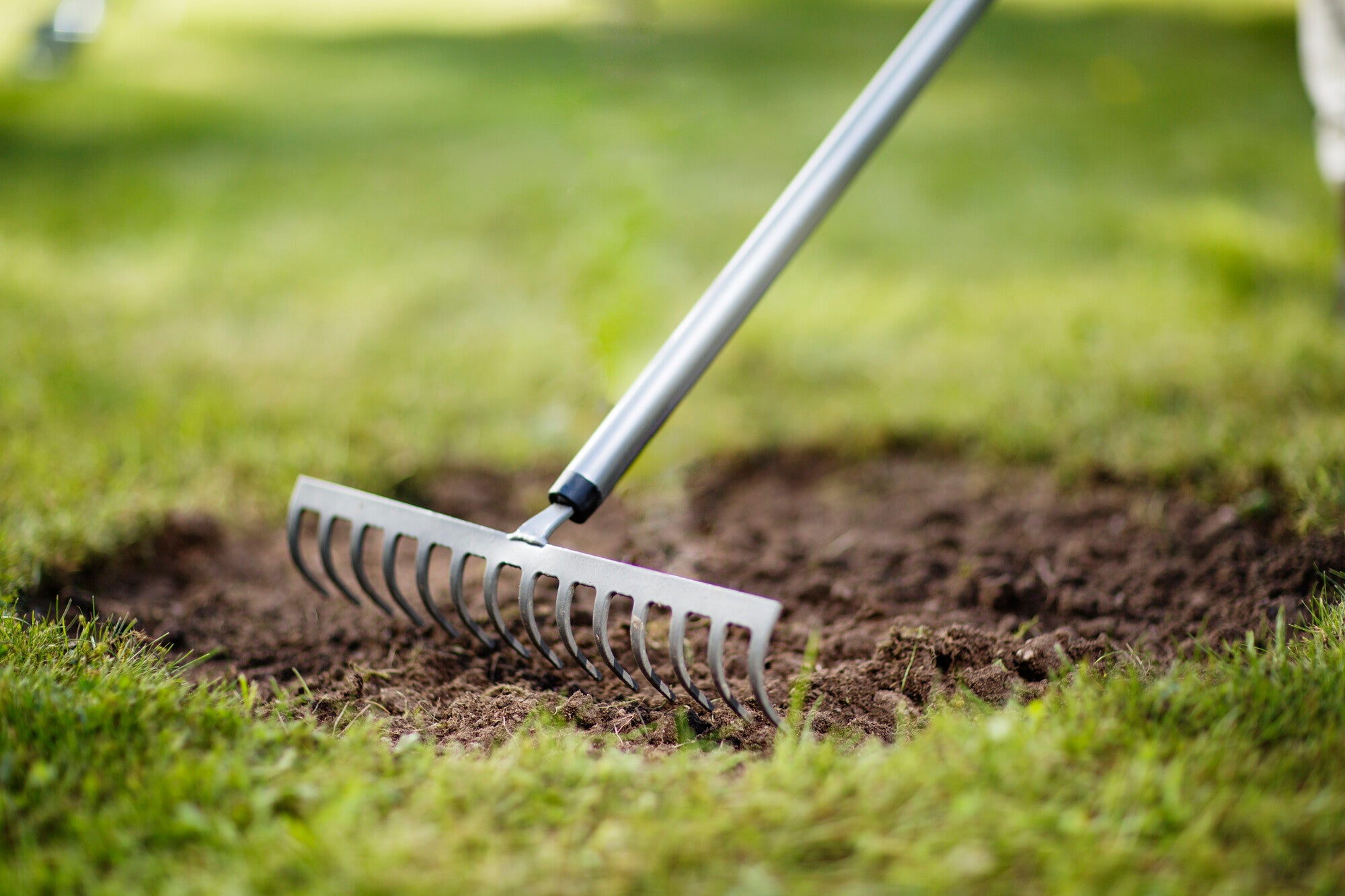 Ergonomic grabie 14-zębne FISKARS 2