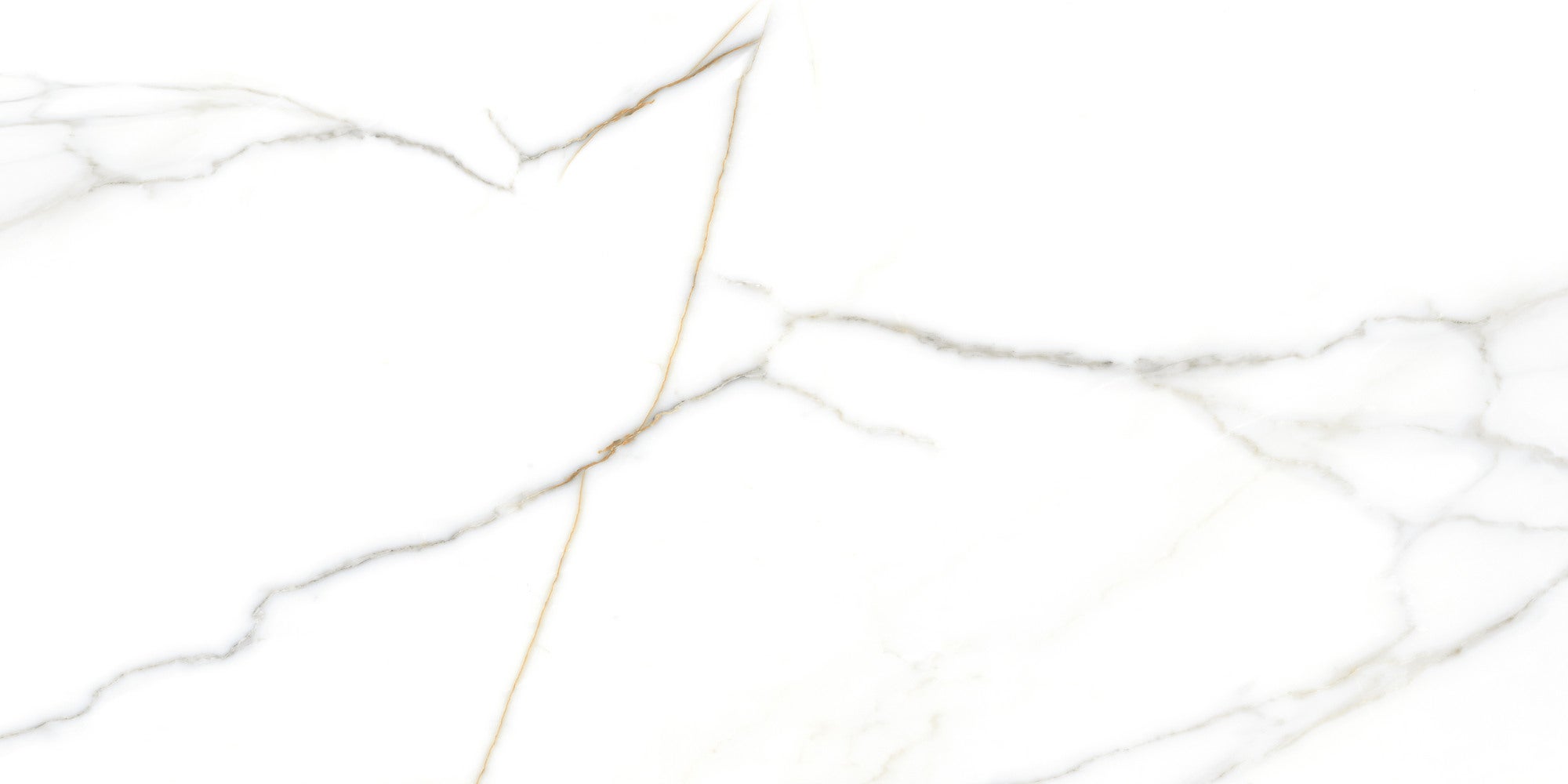 Płytka ścienna Dartrey white glossy 30x60 cm 0,9 m2 2