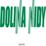DOLINA NIDY