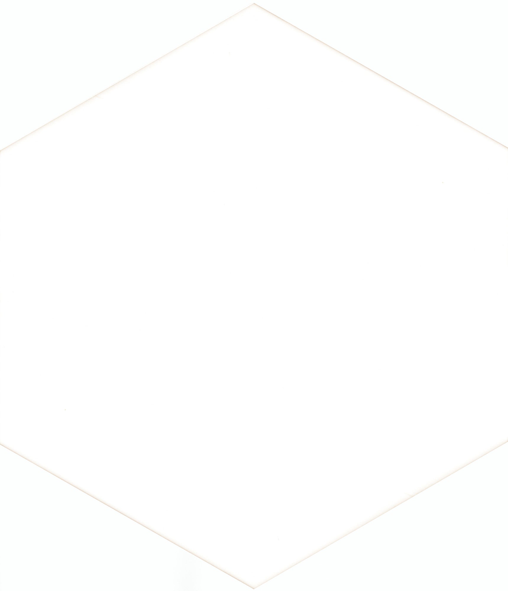 Gres szkliwiony Solid white heksagon 21.5x25 cm 0.69m2