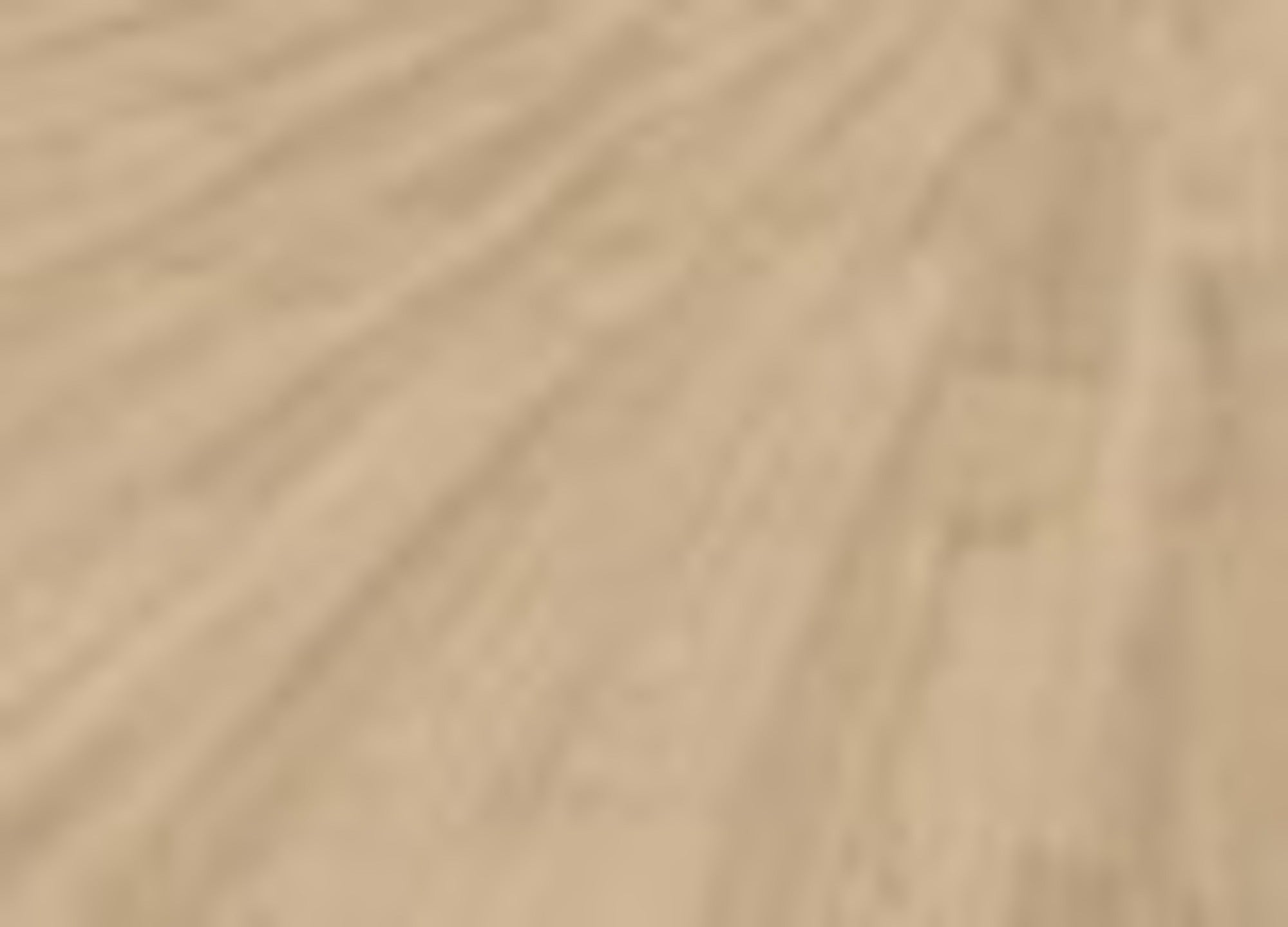 Panel winylowy Gerflor Senso Clic simba nature kl.31 4 mm op.2,12m2