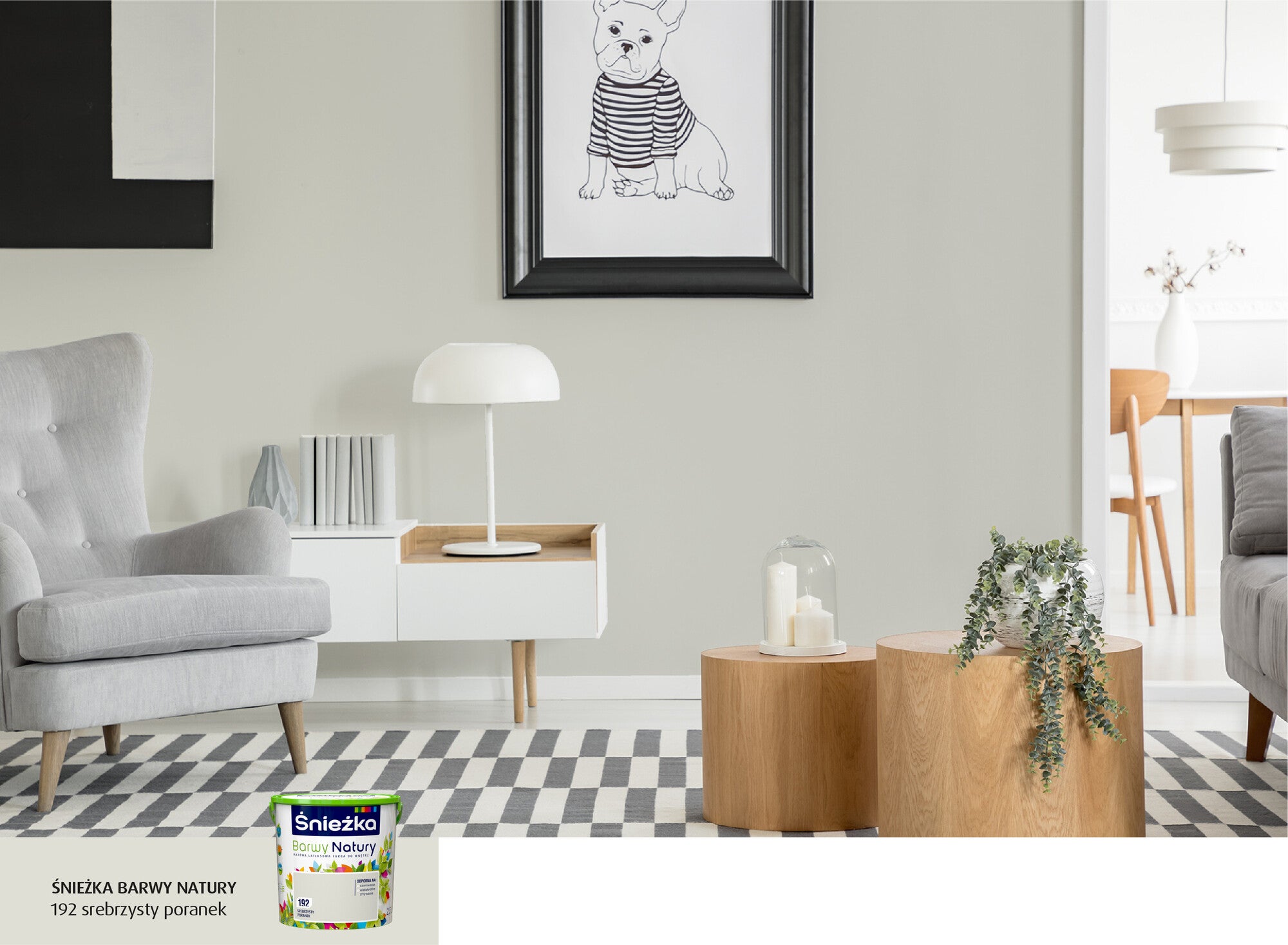 Farba Barwy Natury srebrzysty poranek 2,5l 1