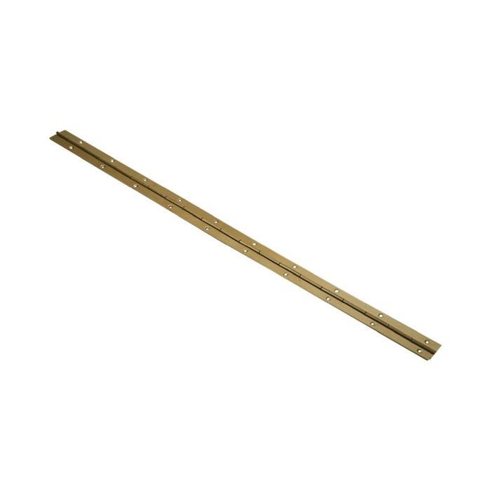 Zawias taśmowy 31mm dł.0,6m (złoty)
