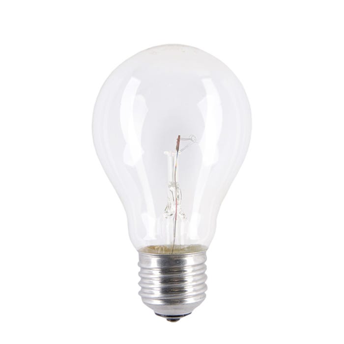 Żarówka niskonapięciowa 40W E27 24V 580lm