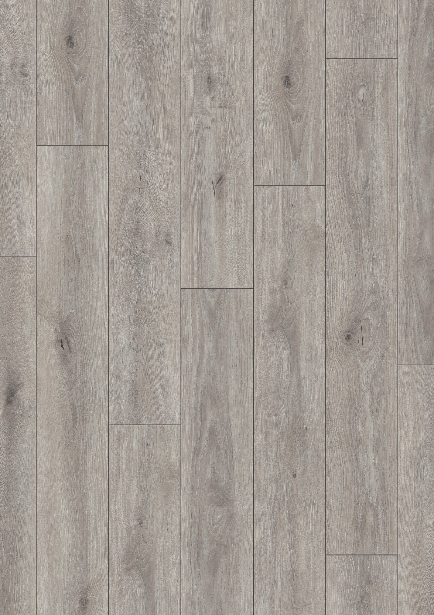 Panel podłogowy Dąb Dove Cashmere AC4 8 mm 4V op.2,22m2 wodoodporny