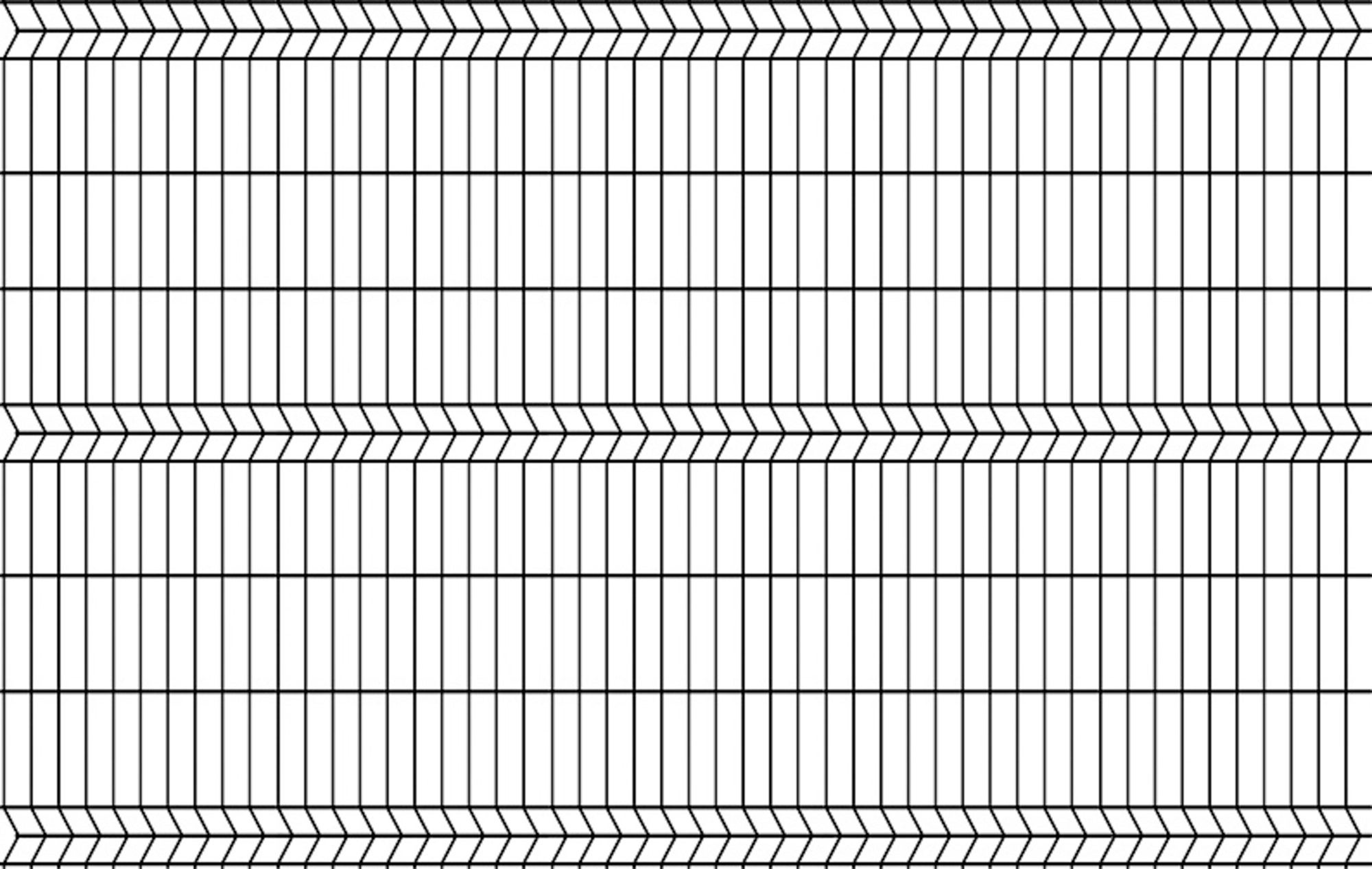 Panel ogrodzeniowy 3D czarny, 152x250 cm, oczko 50x200 mm, drut 4 mm 1