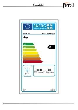 Ogrzewacz gazowy PEGASO PRO11 NG GZ50 1