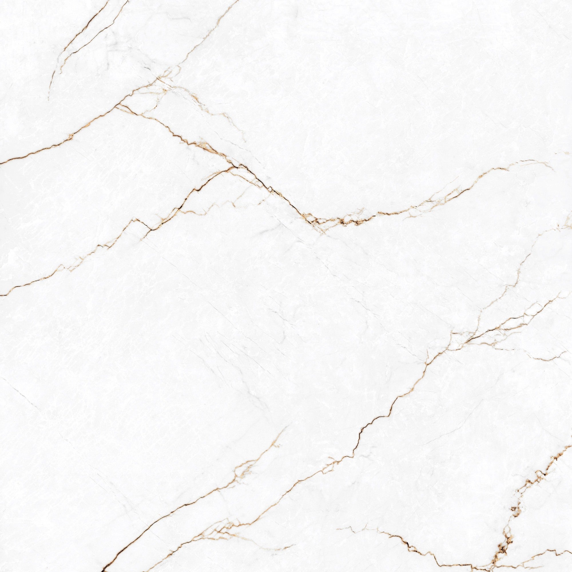 Gres szkliwiony polerowany Rosalio Bianco 120X120 cm 2,88 m2