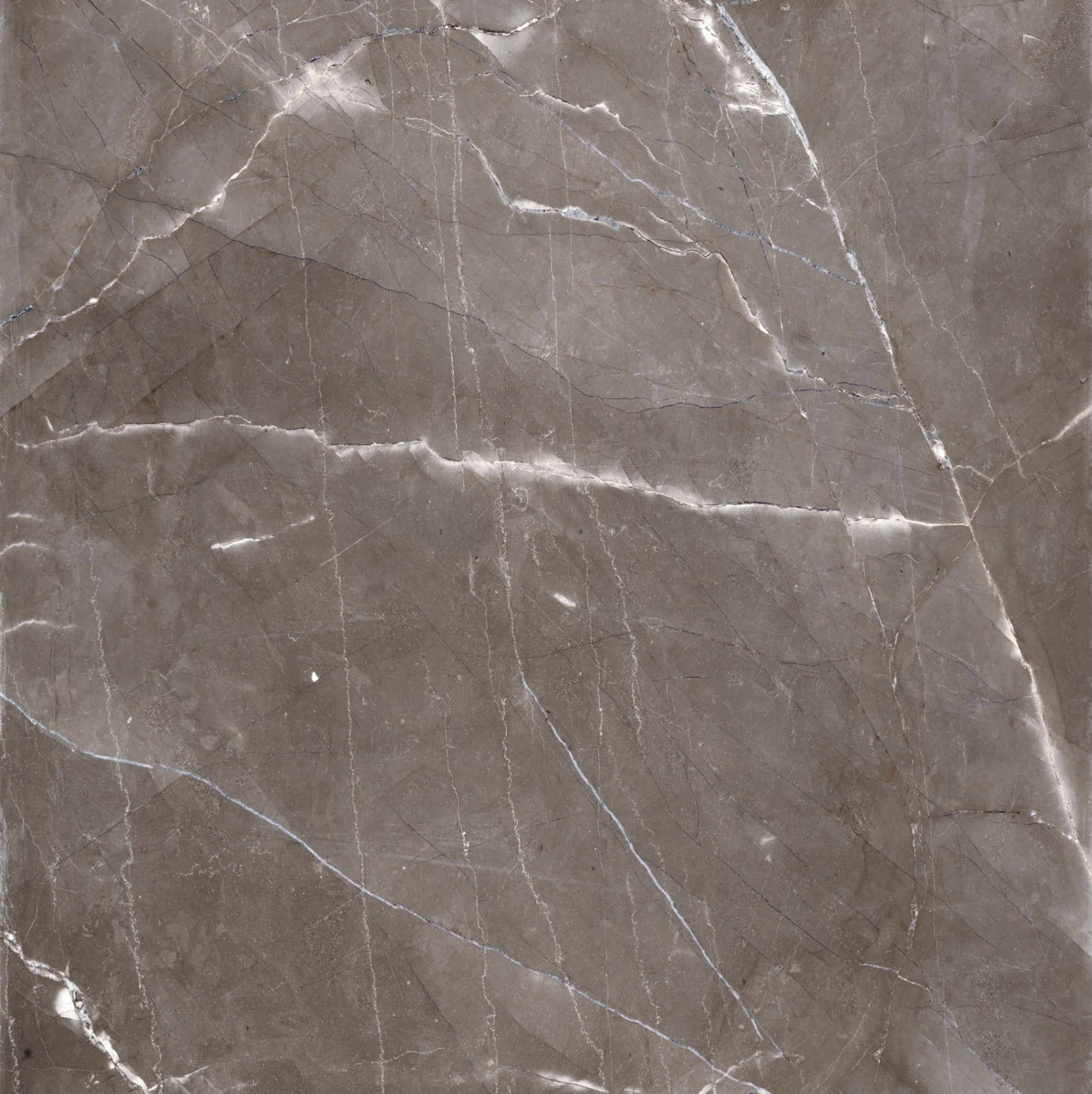 Gres szkliwiony Regal grey 60x60 cm 1,44m2