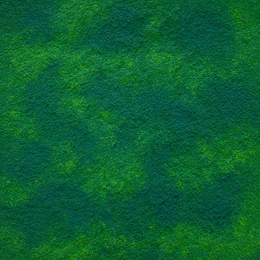 Tynk o efekcie mchu Fox Dekorator zestaw 3,5m2 2