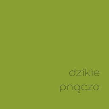 Farba Dulux Kolory Świata dzikie pnącza 2,5l 2