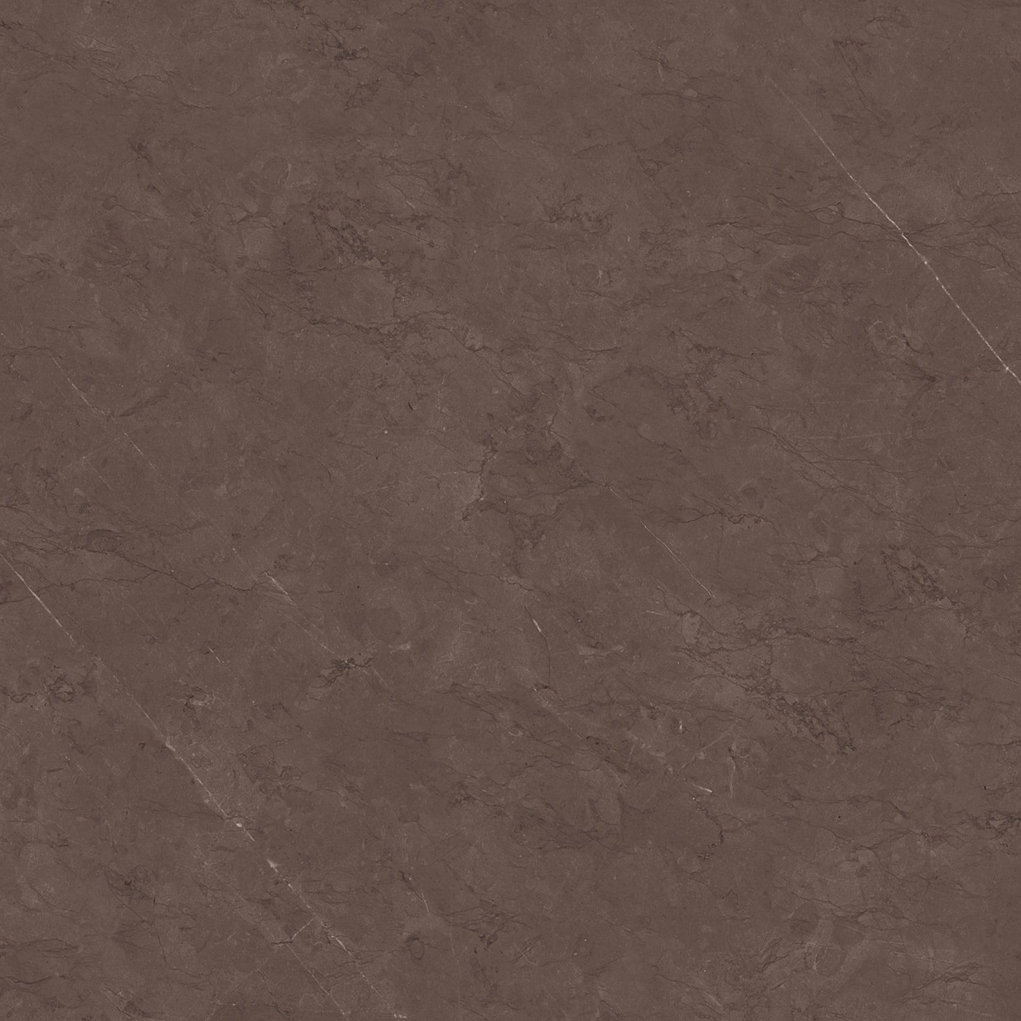 Gres szkliwiony polerowany U123 Taupe 60x60 1.44 M2