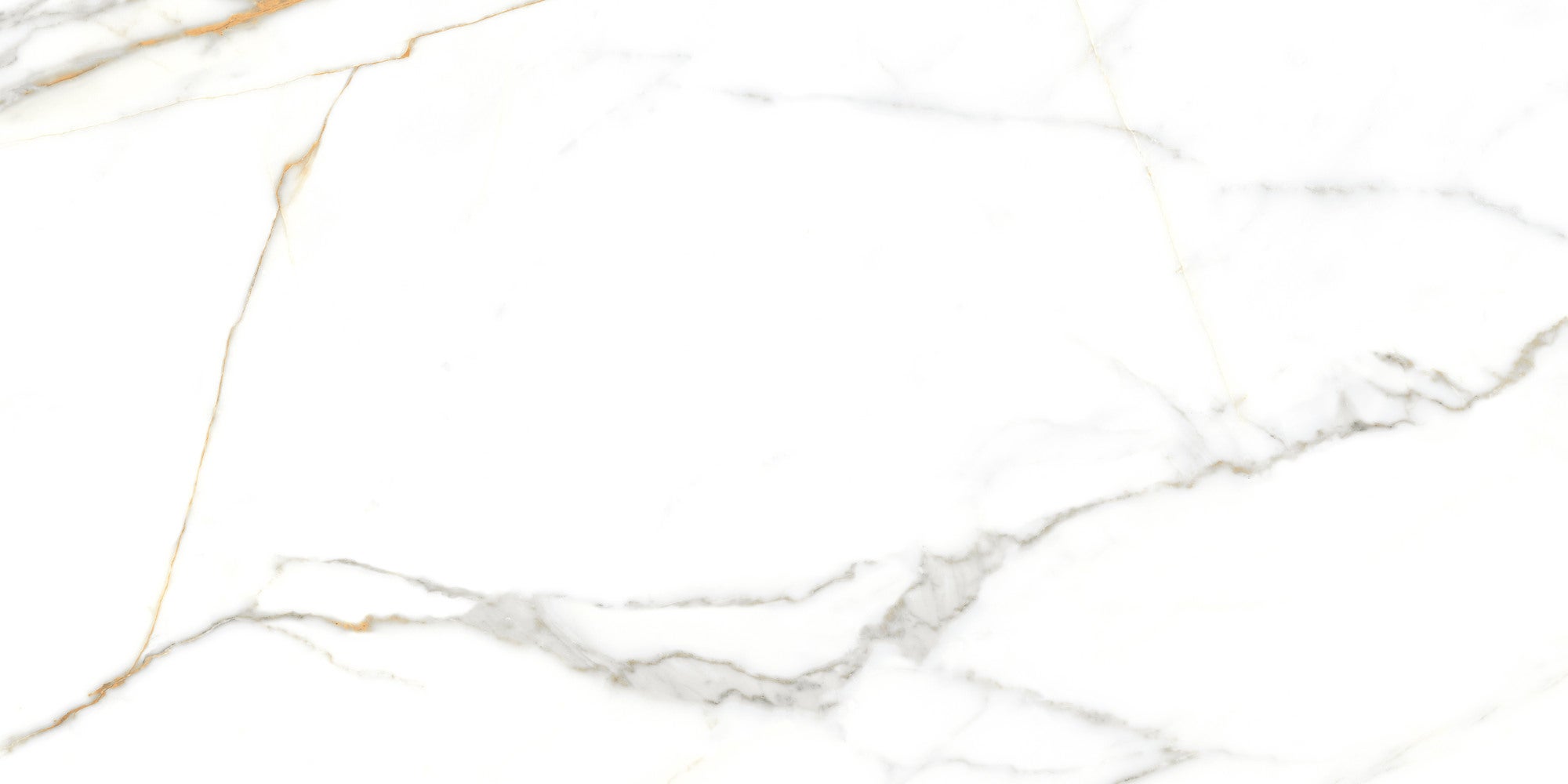 Płytka ścienna Dartrey white glossy 30x60 cm 0,9 m2 1