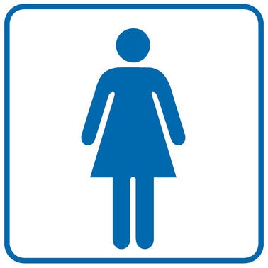 Znak informacyjny WC DAMSKIE
