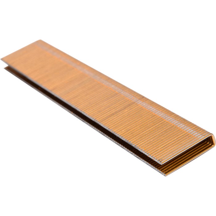 Zszywki 21 x 5,5 mm, 2200 szt.