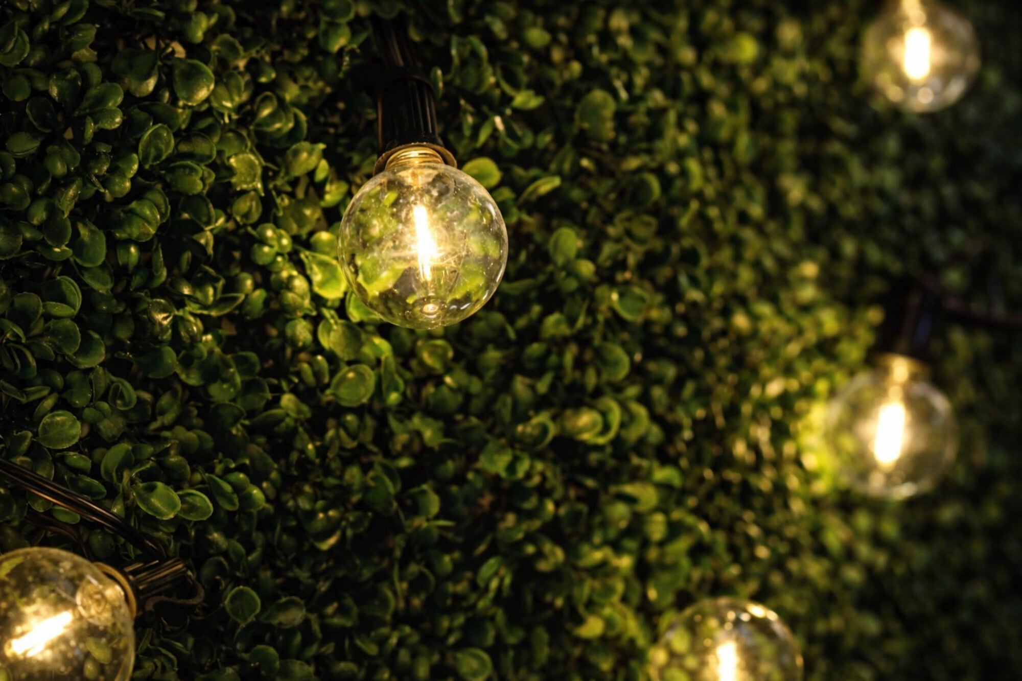 Girlanda Pavos 10,5m 10xE12 230V 2