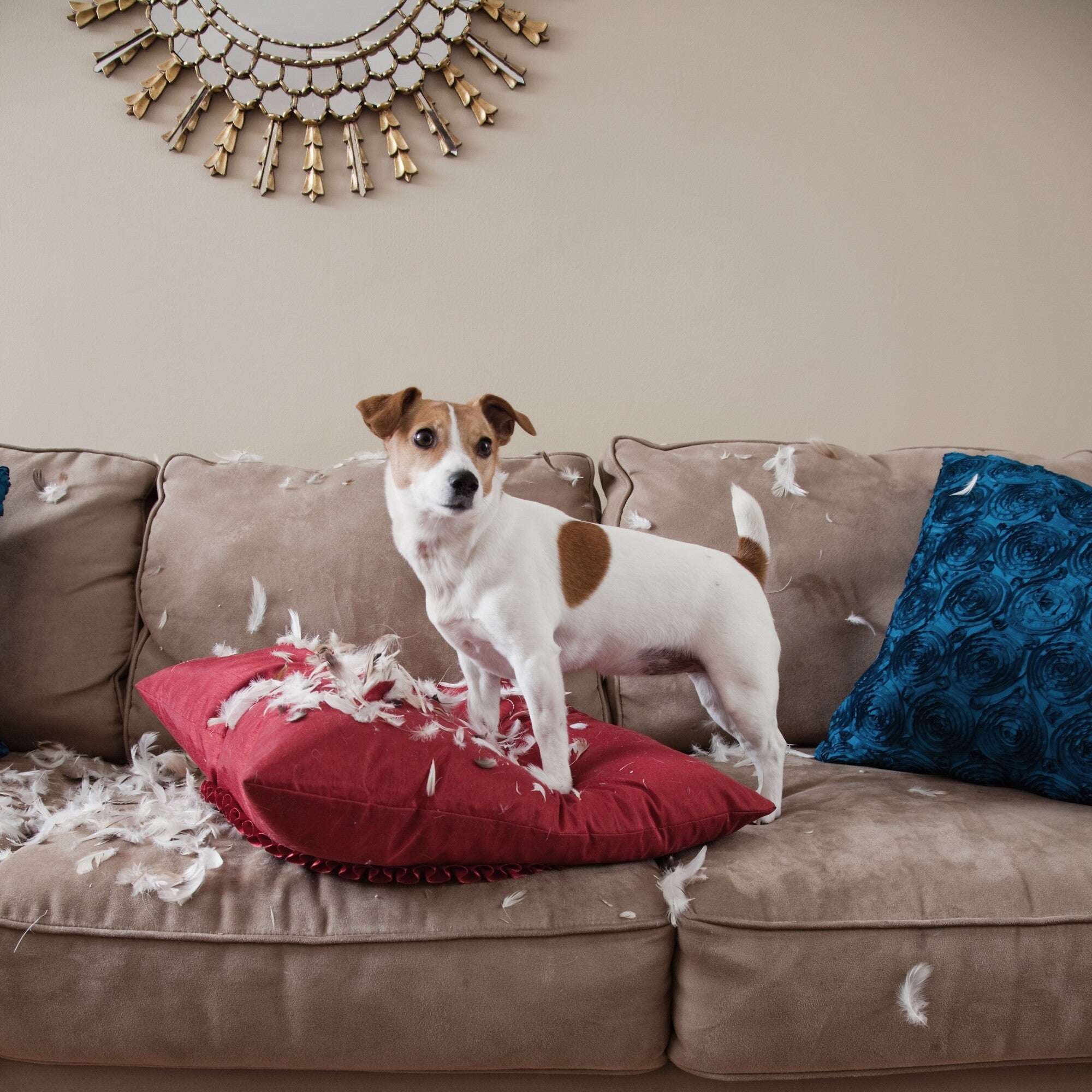 Farba Beckers Designer Colour cup of coffee 2,5l 2