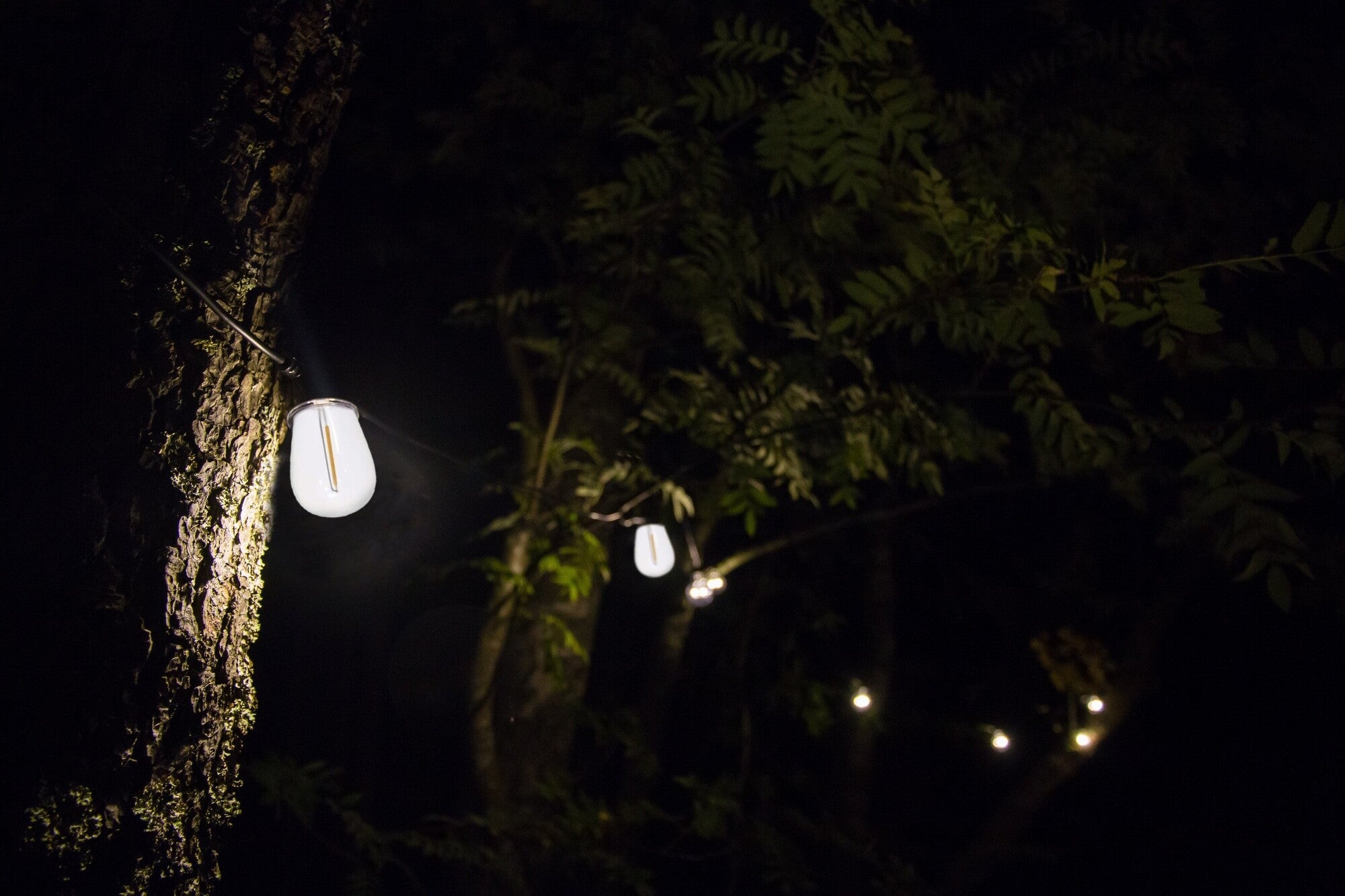 Girlanda Kepa 6,2m 10xE27 230V wymienna żarówka 1