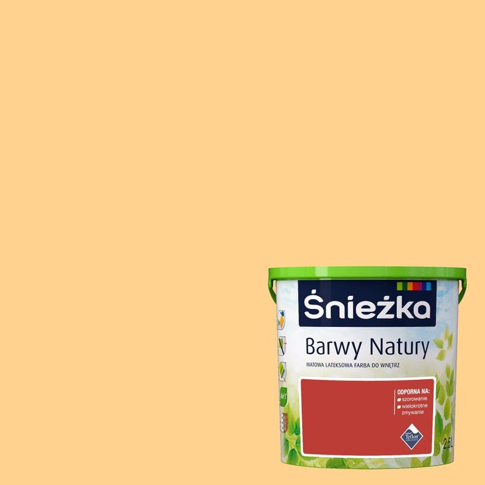 Farba Barwy Natury pole słoneczników 2,5l