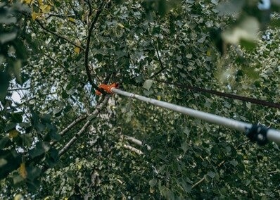 Piła z sekatorem na teleskopowym trzonku 3,75 m 1