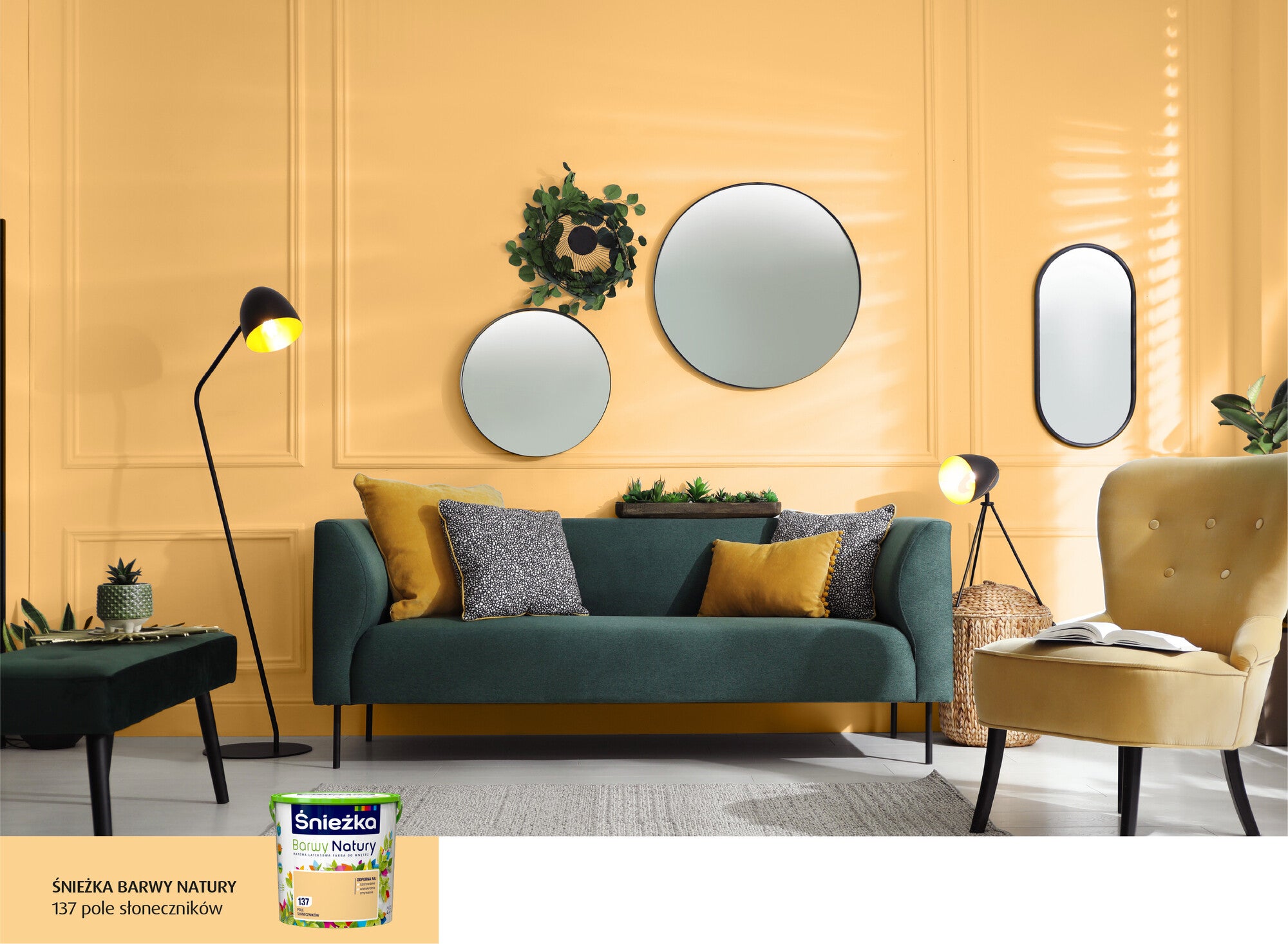 Farba Barwy Natury pole słoneczników 2,5l 1