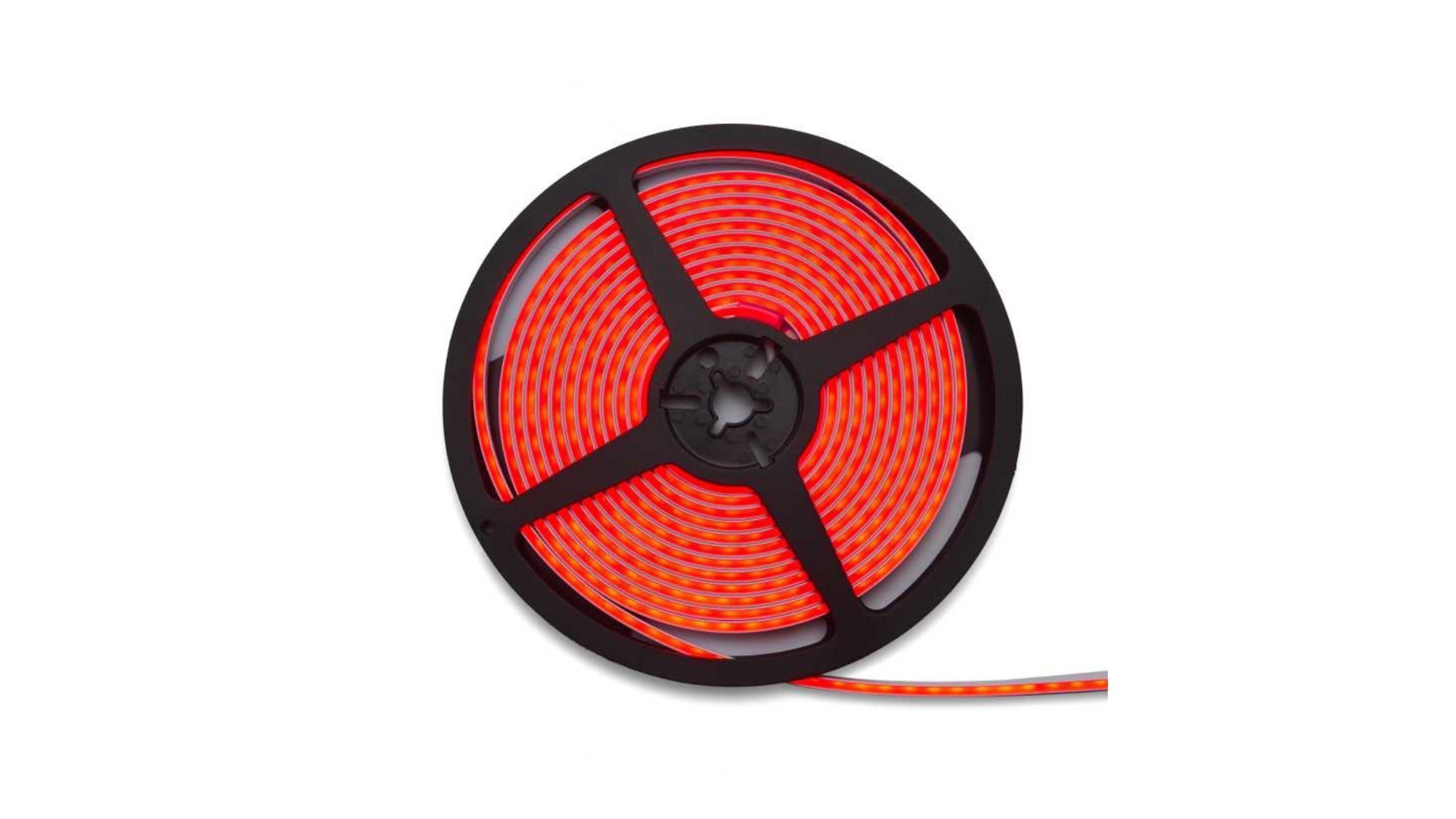 Taśma LED 24V Neon 12W czerwona IP67 5m