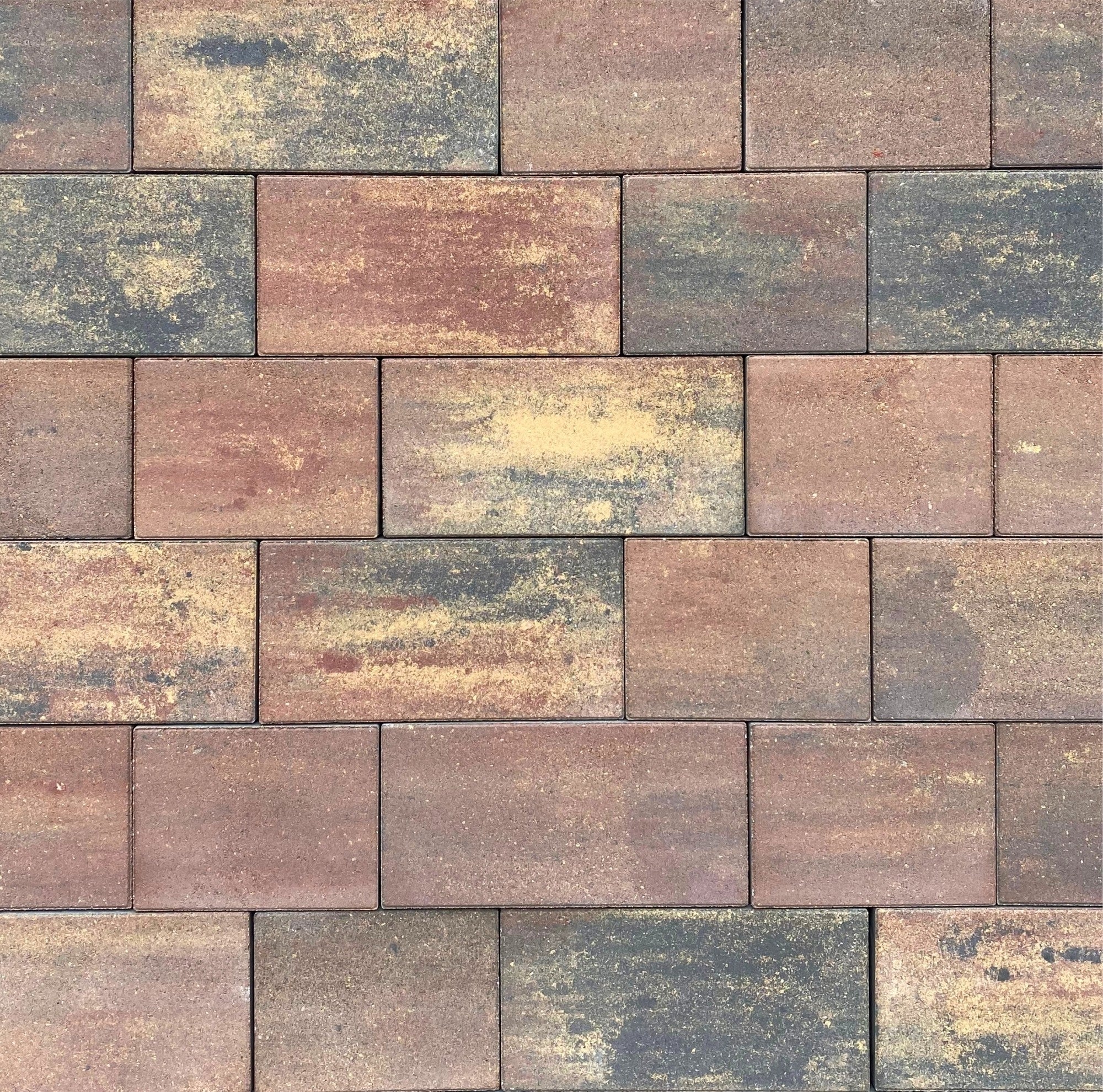 Certus System 15 Colormix Barwy Jesieni opakowanie 8,4 m2 0