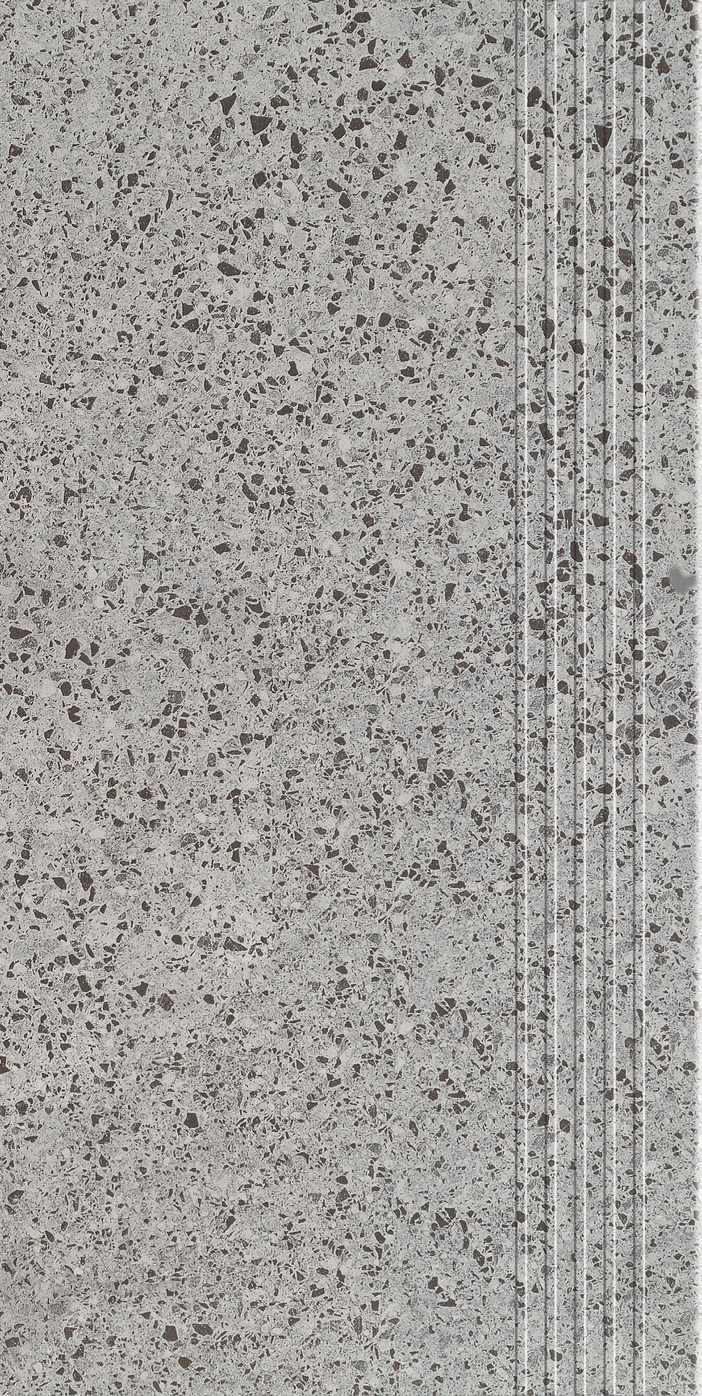 Stopnica Otis graphite 29.8x59.8 cm 1.07 m2