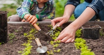 Zestaw narzędzi ręcznych do ogrodu – jakie powinien mieć każdy profesjonalista i amator?